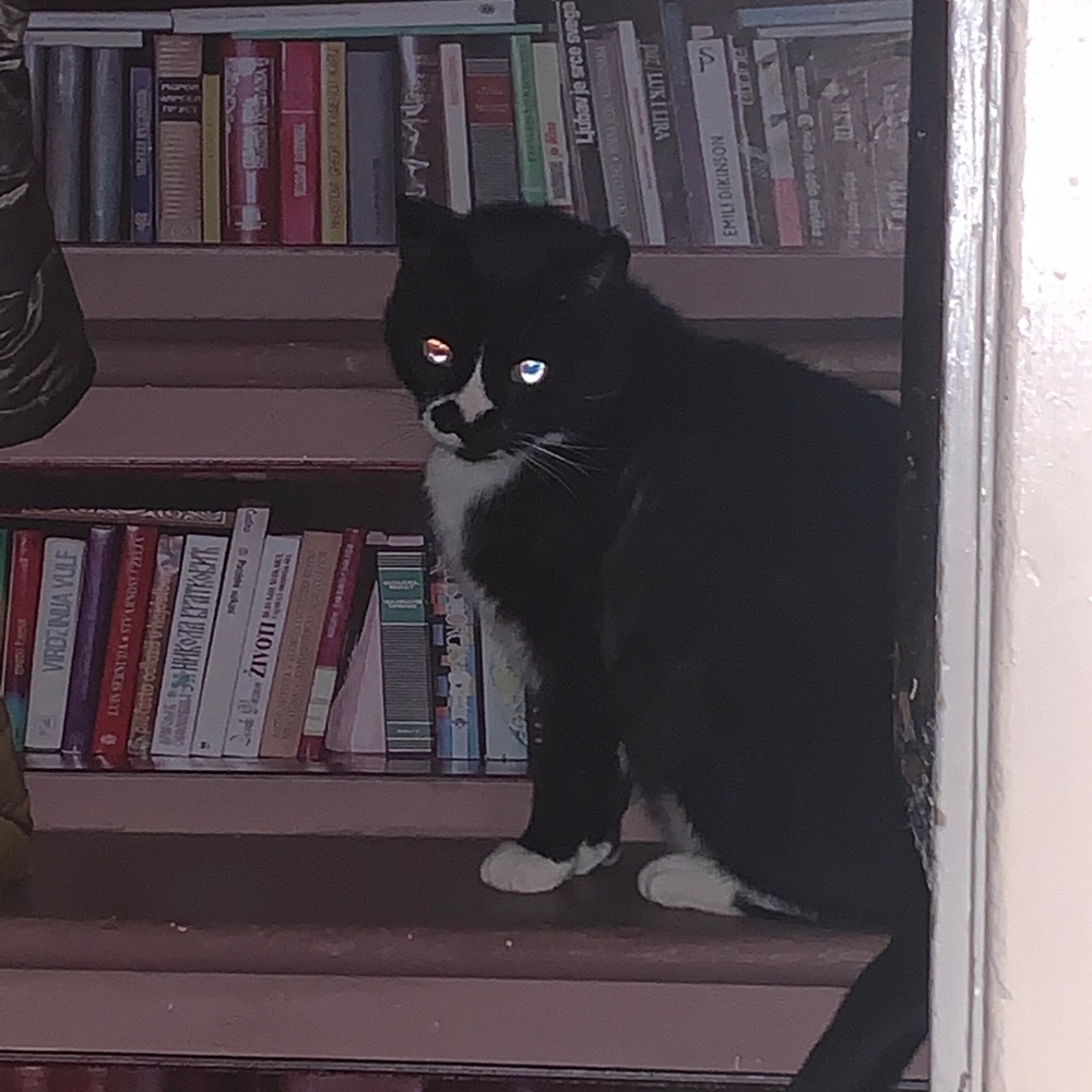 Meet your Posher, Wendy